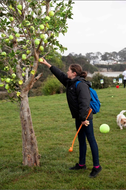 Girl picking tennis ball